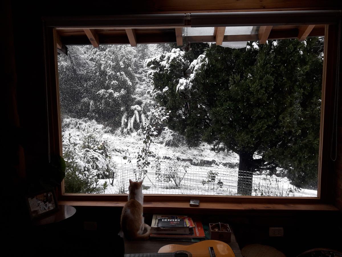 Lo De Pablo Panzió Villa La Angostura Kültér fotó